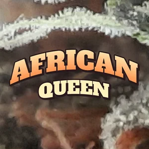 African Queen Cannabis Strain