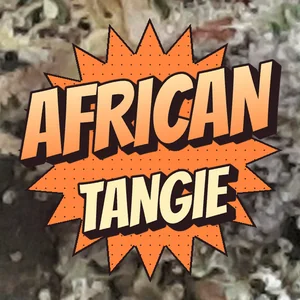 African Tangie Cannabis Strain