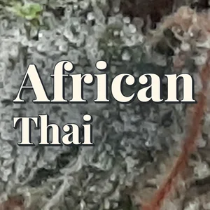 African Thai Cannabis Strain