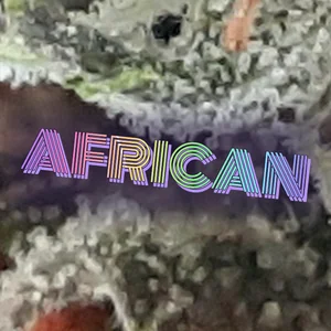 African Cannabis Strain