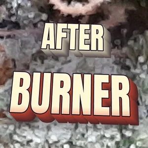 After Burner Cannabis Strain