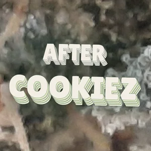 After Cookiez Cannabis Strain