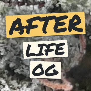 After Life OG Cannabis Strain