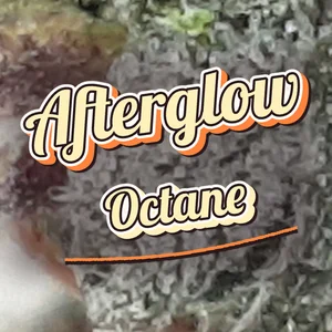 Afterglow Octane Cannabis Strain