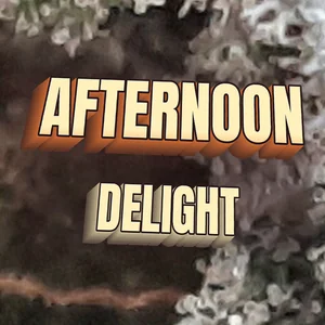 Afternoon Delight Cannabis Strain