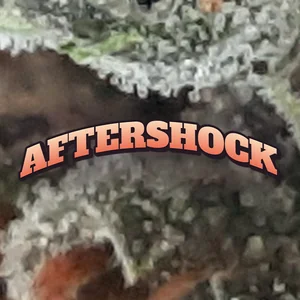Aftershock Cannabis Strain