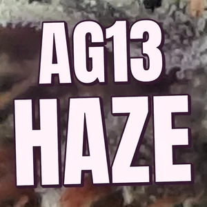 AG13 Haze Cannabis Strain