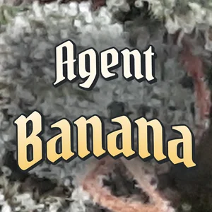Agent Banana Cannabis Strain