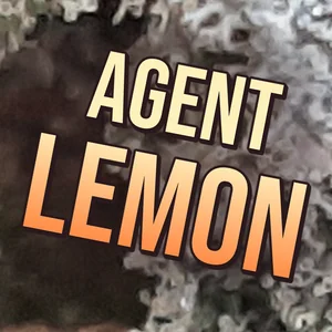 Agent Lemon Cannabis Strain