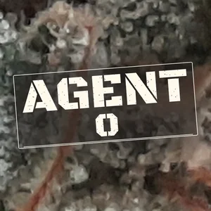 Agent O Cannabis Strain