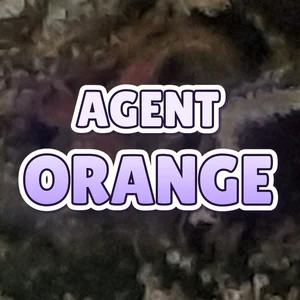 Agent Orange Cannabis Strain