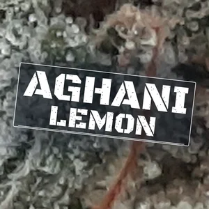 Aghani Lemon Cannabis Strain