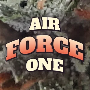 Air Force One Cannabis Strain