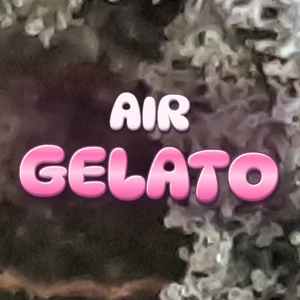 Air Gelato Cannabis Strain