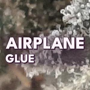 Airplane Glue Cannabis Strain