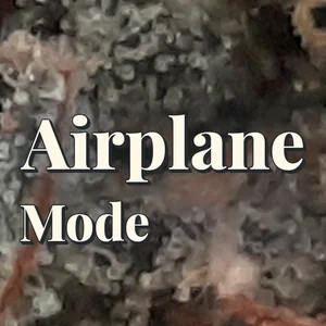 Airplane Mode Cannabis Strain