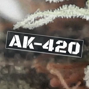 AK-420 Cannabis Strain