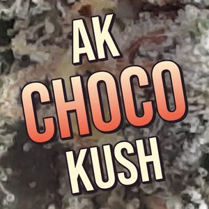 AK Choco Kush Cannabis Strain