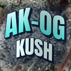 AK-OG Kush Cannabis Strain