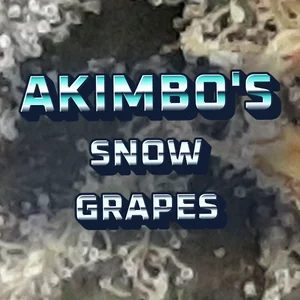 Akimbo's Snow Grapes Cannabis Strain