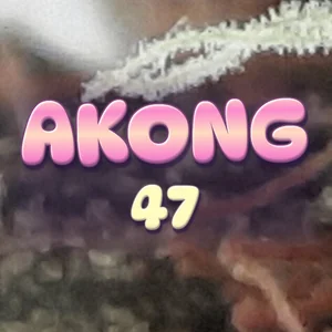 Akong 47 Cannabis Strain