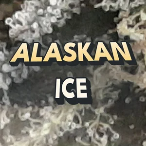 Alaskan Ice Cannabis Strain