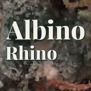 Albino Rhino Cannabis Strain
