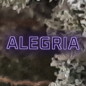 Alegria Cannabis Strain