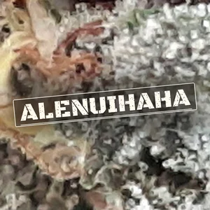 Alenuihaha Cannabis Strain