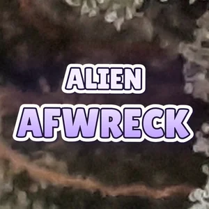 Alien Afwreck Cannabis Strain