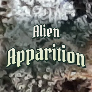Alien Apparition Cannabis Strain