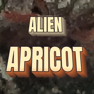 Alien Apricot Cannabis Strain