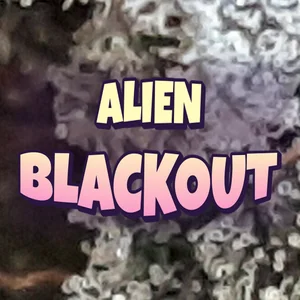 Alien Blackout Cannabis Strain