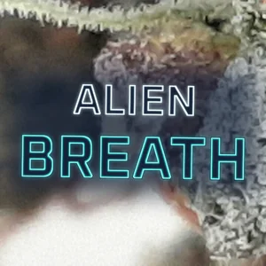 Alien Breath Cannabis Strain