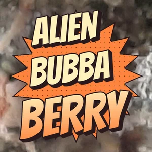 Alien Bubba Berry Cannabis Strain