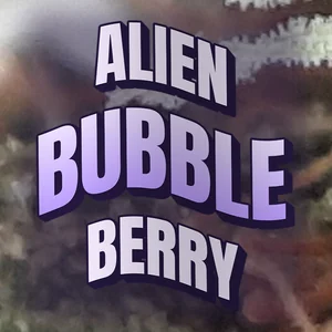 Alien Bubble Berry Cannabis Strain