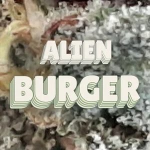 Alien Burger Cannabis Strain