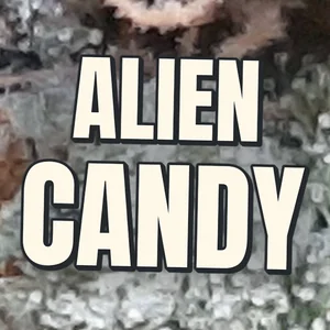 Alien Candy Cannabis Strain