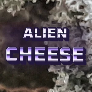 Alien Cheese Cannabis Strain
