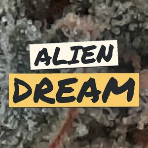 Alien Dream Cannabis Strain
