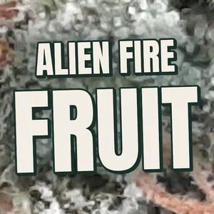 Alien Fire Fruit Cannabis Strain