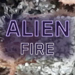 Alien Fire Cannabis Strain