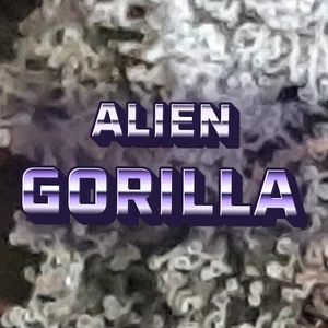 Alien Gorilla Cannabis Strain