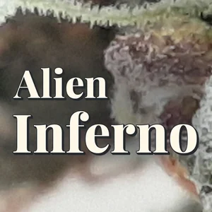 Alien Inferno Cannabis Strain