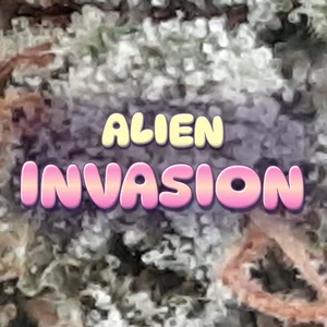 Alien Invasion Cannabis Strain