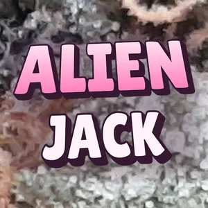 Alien Jack Cannabis Strain