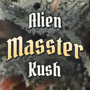 Alien Masster Kush Cannabis Strain