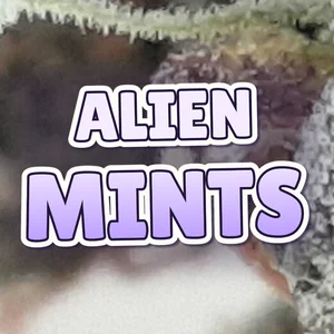 Alien Mints Cannabis Strain