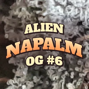Alien Napalm OG #6 Cannabis Strain