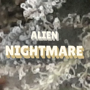 Alien Nightmare Cannabis Strain